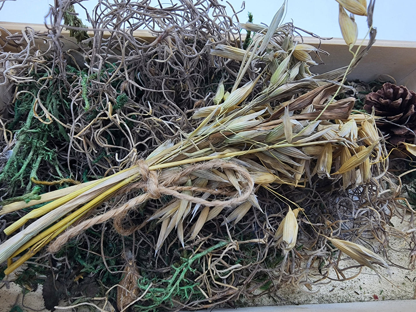 Small oat spray for hamsters/rodents/small animals