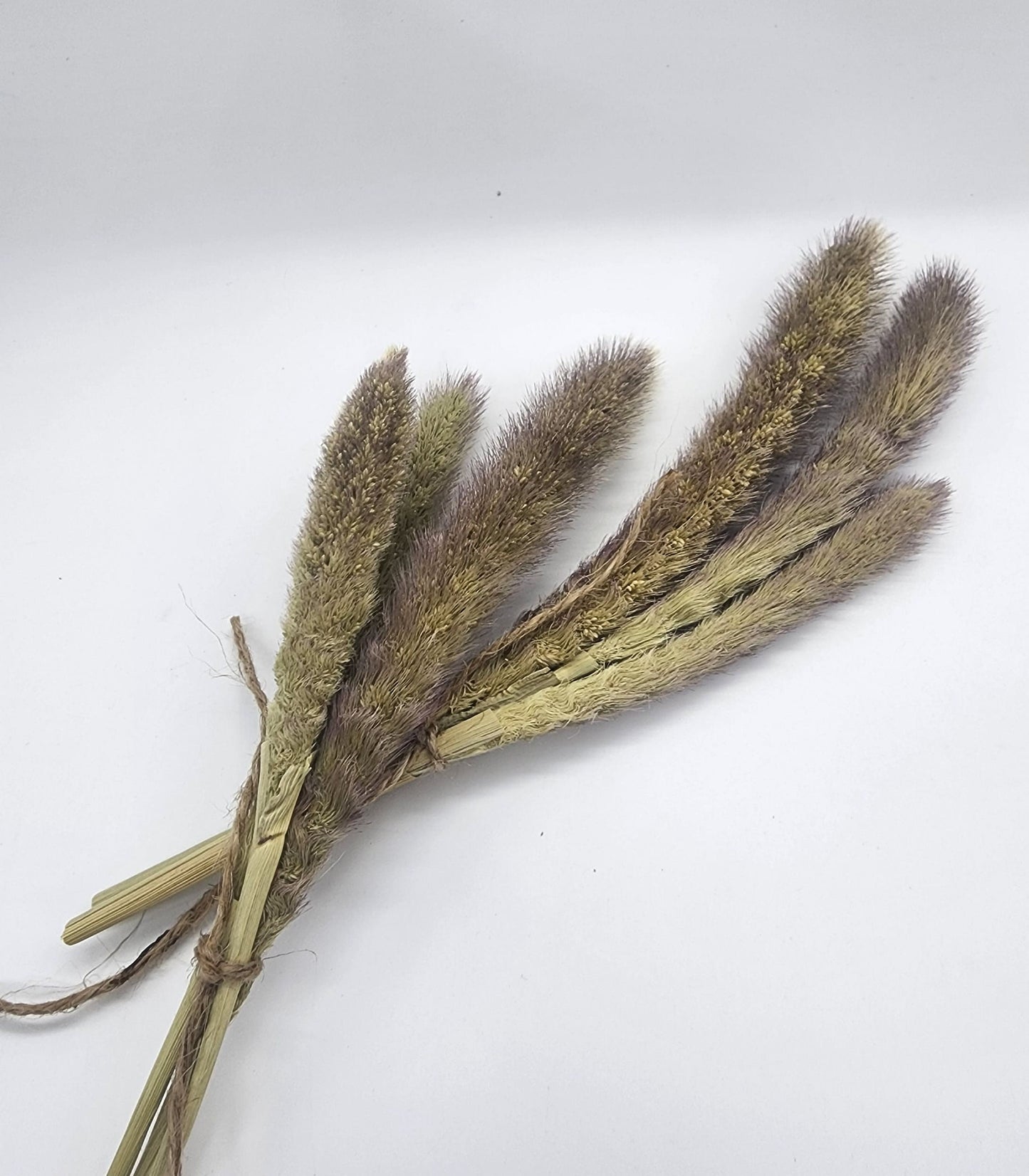 Small Mohair Millet spray for hamsters/rodents/small animals