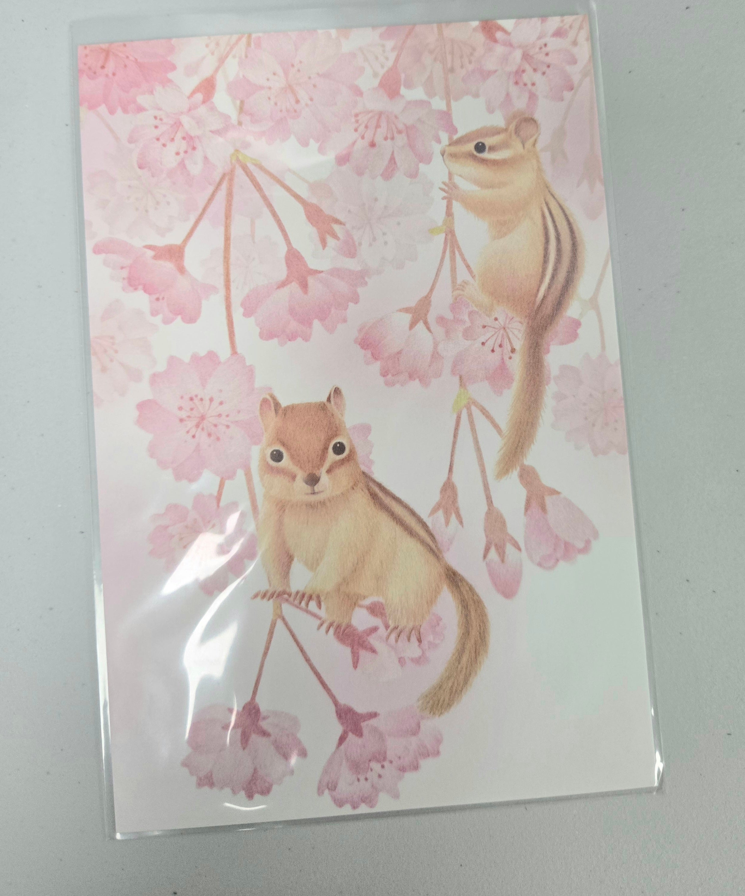Cherry Blossom Chipmunk Postcard | Cute Animal Illustration | Kawaii Japanese Style Postcard | Spring Aesthetic Mail