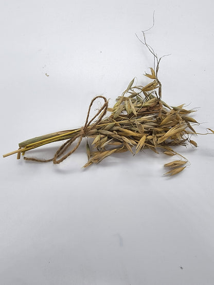 Small oat spray for hamsters/rodents/small animals