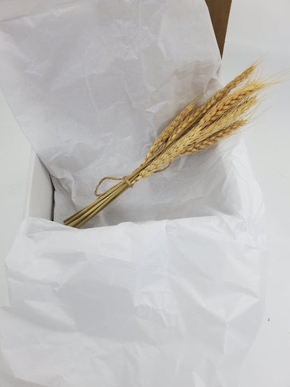 Small Blond wheat spray for hamsters