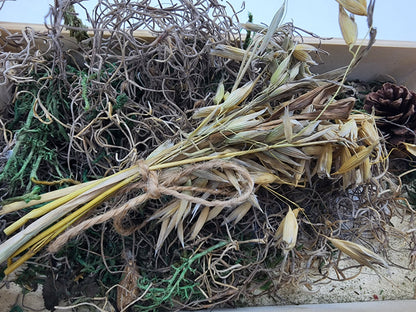 Small oat spray for hamsters/rodents/small animals