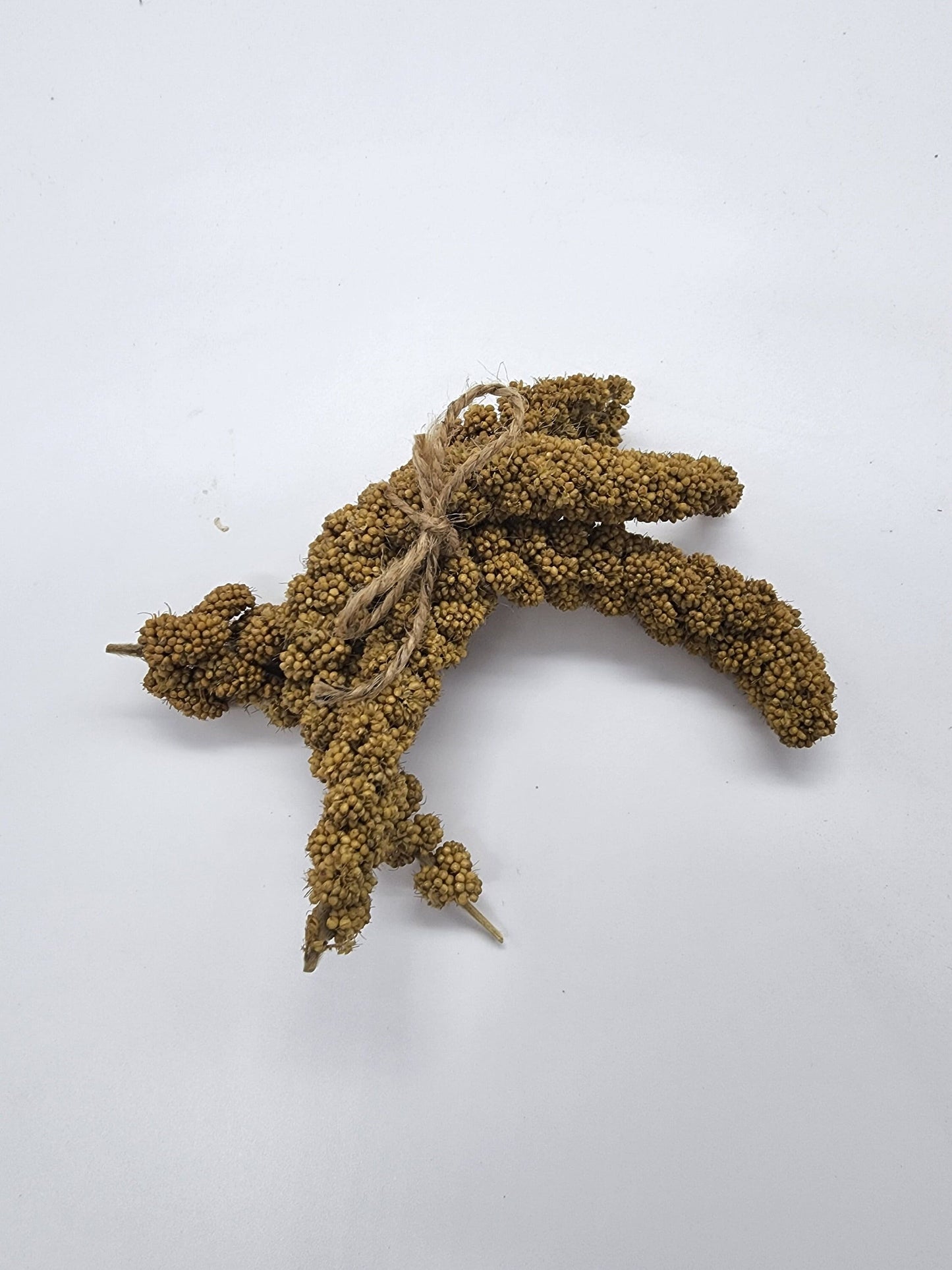 Small millet spray for hamsters/rodents/small animals