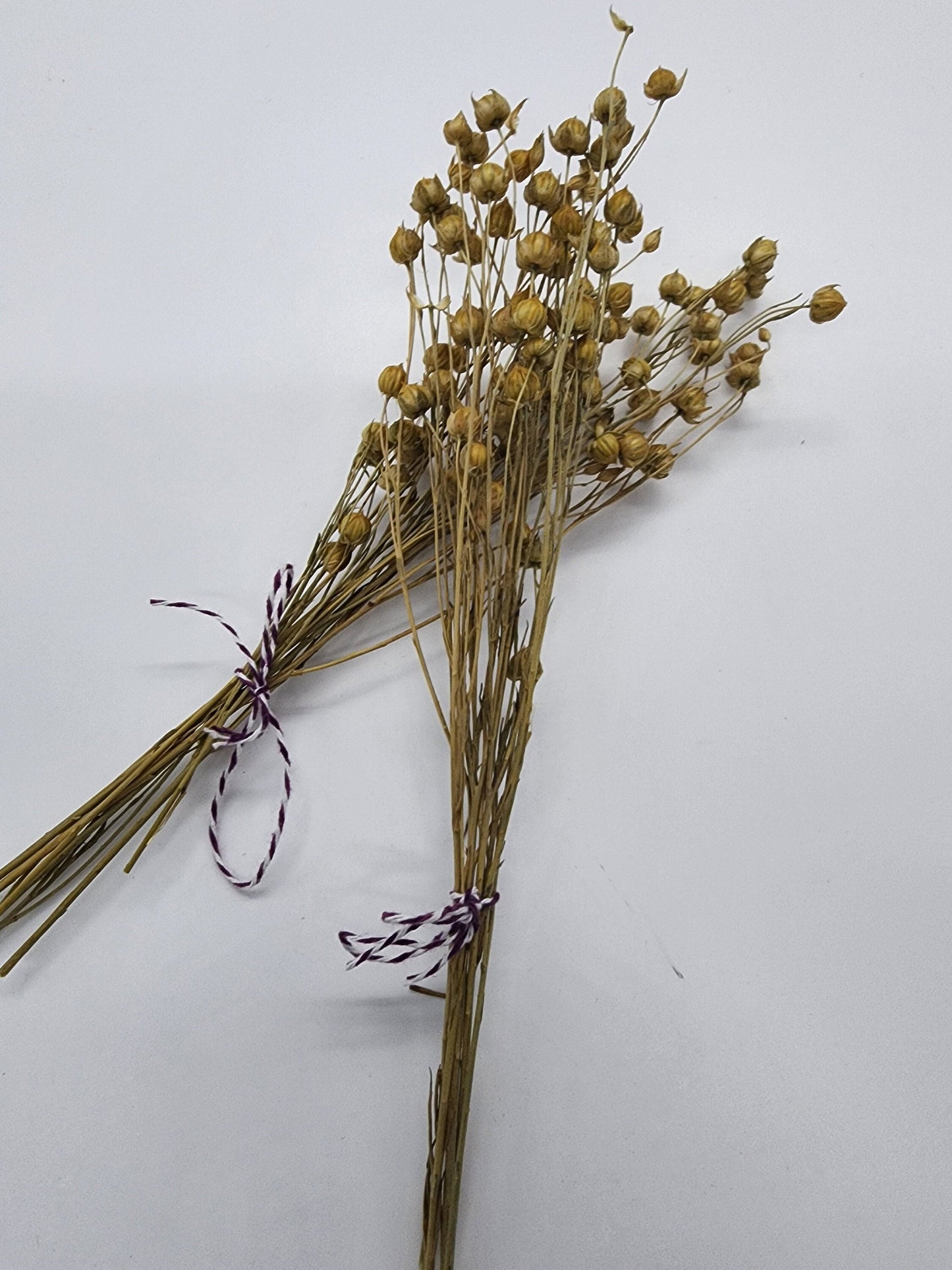 Small flax spray for hamsters | Rodents | Small Animals