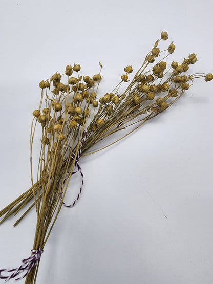 Small flax spray for hamsters | Rodents | Small Animals