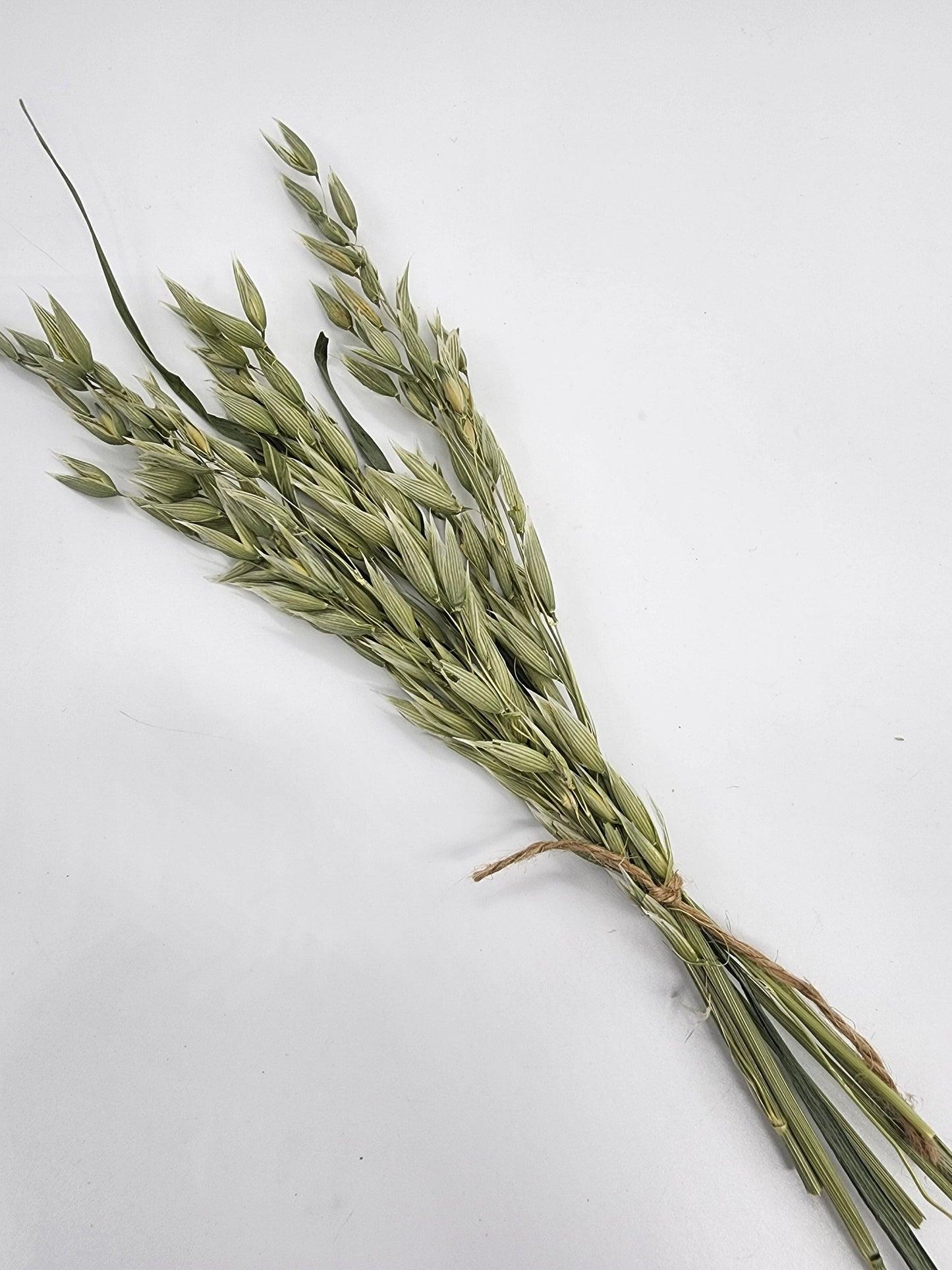 Small green oat spray for hamsters/rodents/small animals