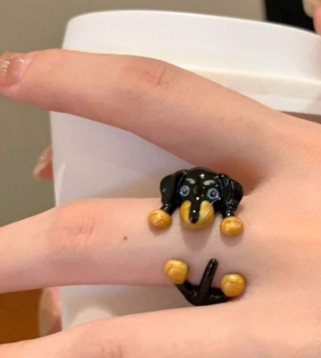 dog dachshund ring