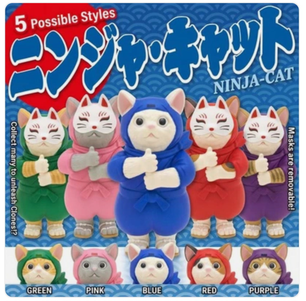 Ninja cat