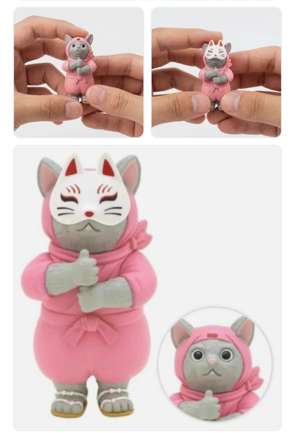 Ninja cat