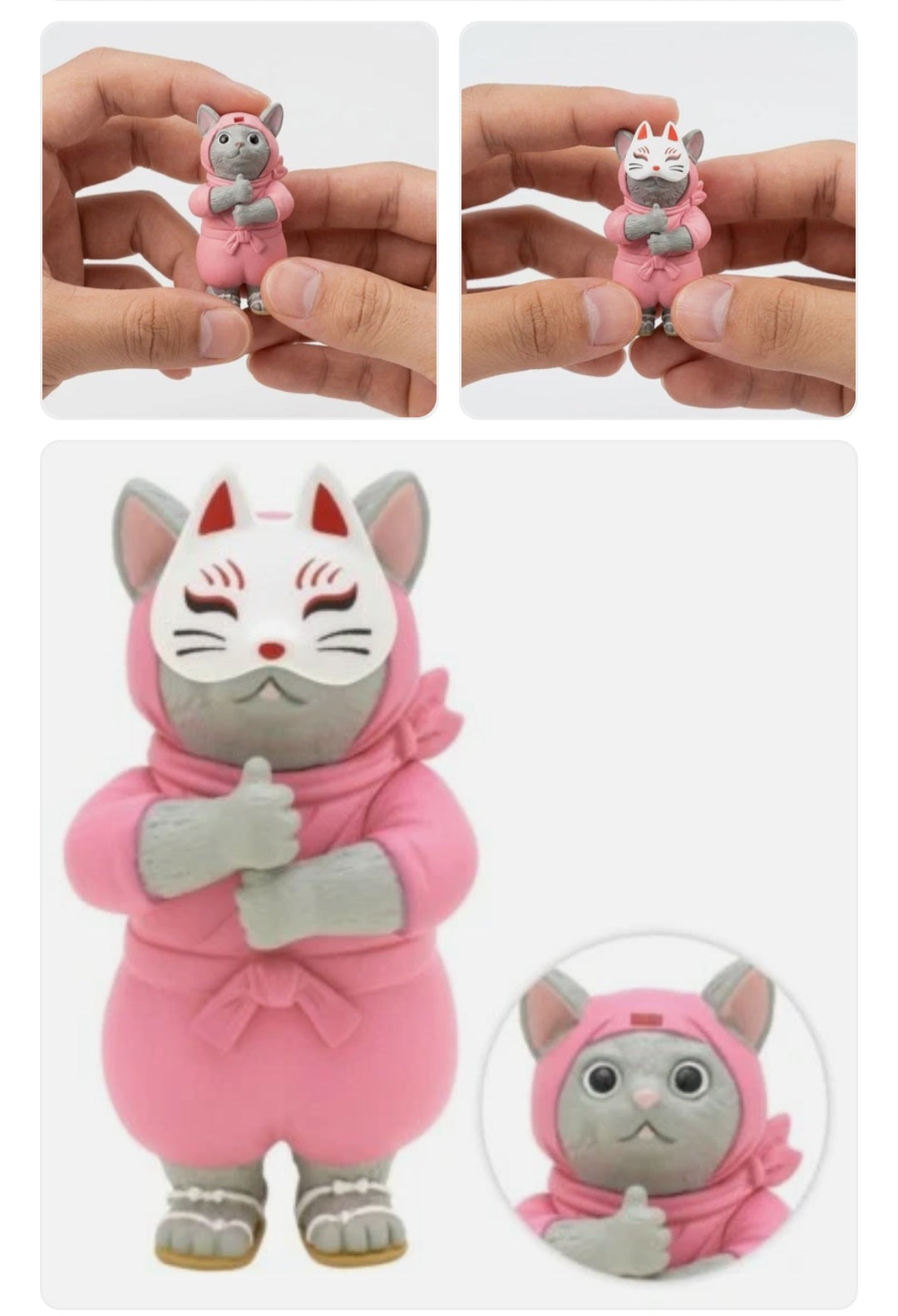Ninja cat